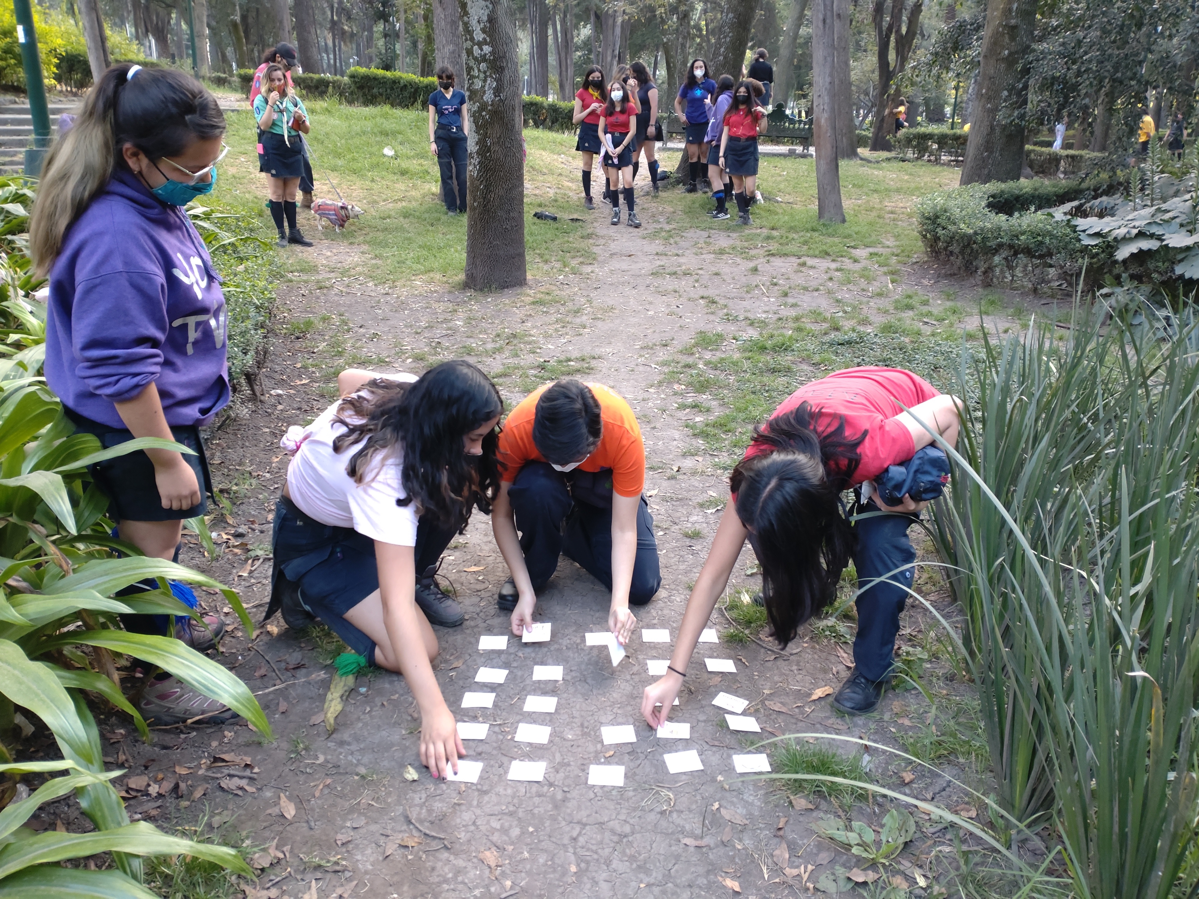 Momento 36 del Grupo 8