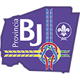 Scouts logo