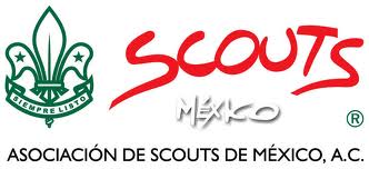 Scouts logo